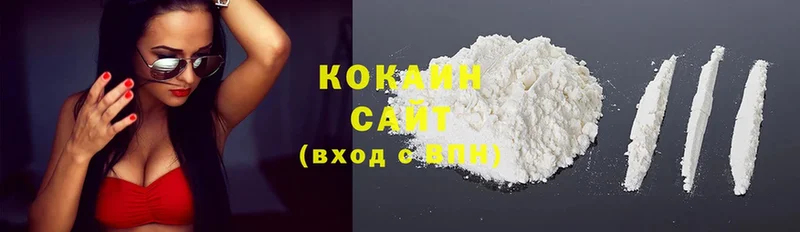 продажа наркотиков  ОМГ ОМГ ССЫЛКА  COCAIN FishScale  Кяхта 